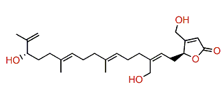 Hippolide H